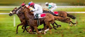 الإمارات لسباق الخيل تكرم أبطال الموسم
