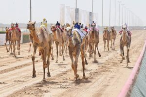 انطلاقة قوية لختامي المرموم 2025
