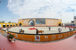 تألق مربط دبي في افتتاح مهرجان الشارقة للجواد العربي
