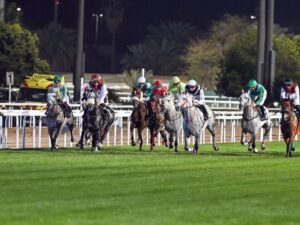 14 خيلاً من النخبة تتطلع إلى لقب سباق كأس أبوظبي الذهبي
