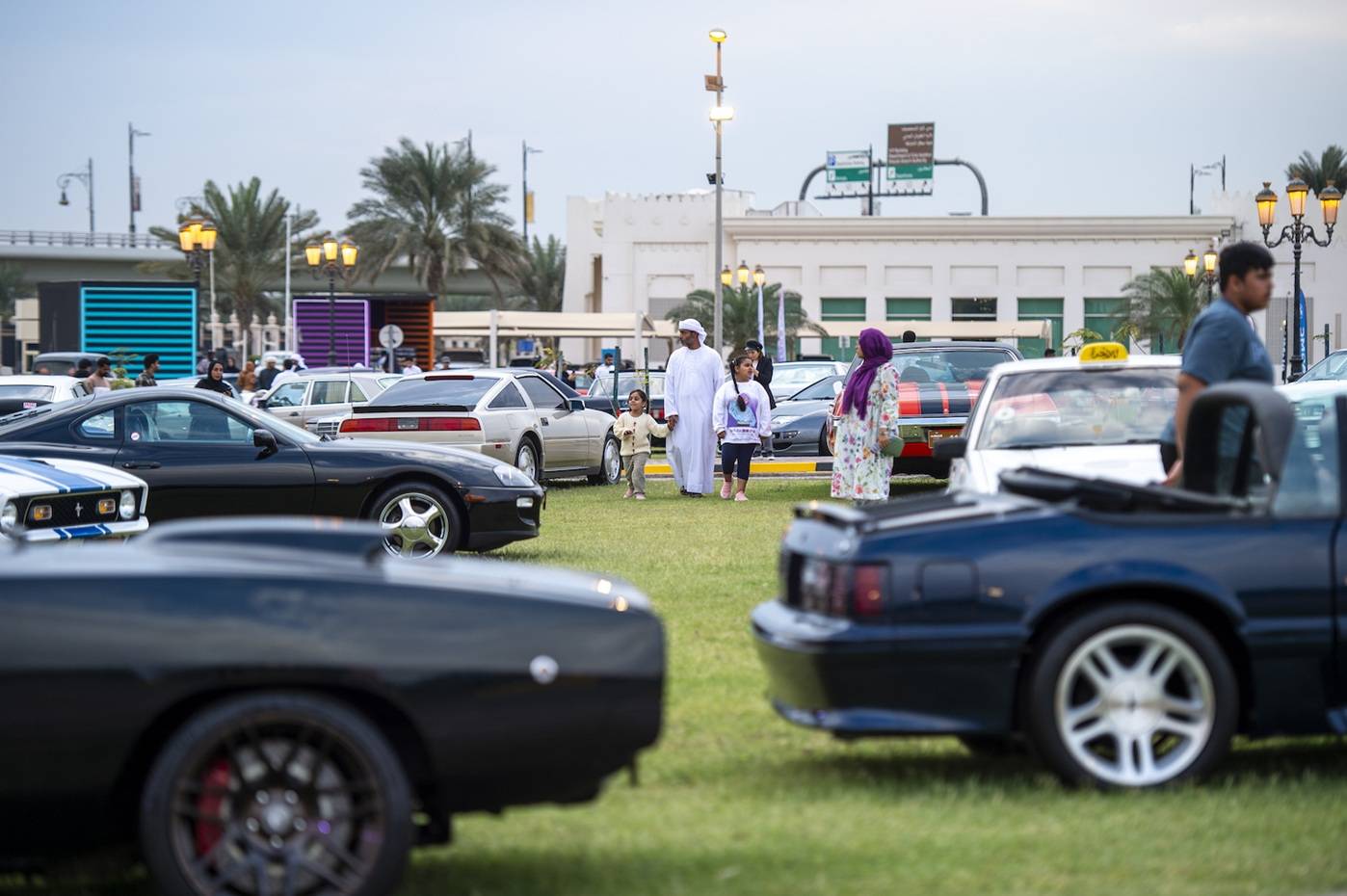 مهرجان الشارقة للسيارات القديمة يصل محطة الختام
