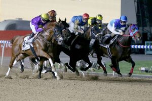 21 جواداً إماراتياً.. واليابان تتصدر
