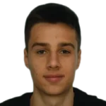 Ilia Gruev
