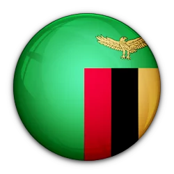 شعار الفريق