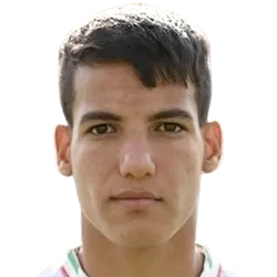Amirhossein Hosseinzadeh