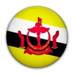 منتخب بروناي